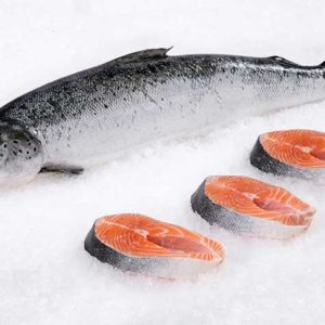 Norwegian Salmon Fillet