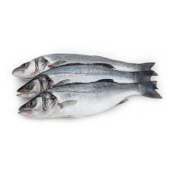 Best quality seafood company UAE | Seafood importers | Fag Trading